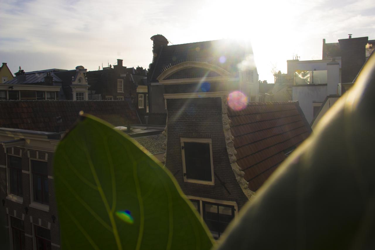 Attic Monkeys Lodge Amsterdam Luaran gambar